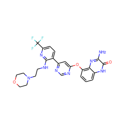 Nc1nc2c(Oc3cc(-c4ccc(C(F)(F)F)nc4NCCN4CCOCC4)ncn3)cccc2[nH]c1=O ZINC000042850905