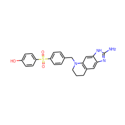 Nc1nc2cc3c(cc2[nH]1)N(Cc1ccc(S(=O)(=O)c2ccc(O)cc2)cc1)CCC3 ZINC000013451081