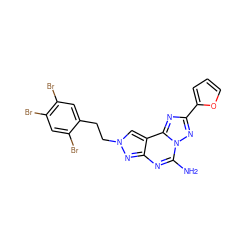 Nc1nc2nn(CCc3cc(Br)c(Br)cc3Br)cc2c2nc(-c3ccco3)nn12 ZINC000027547644