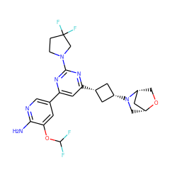 Nc1ncc(-c2cc([C@H]3C[C@@H](N4C[C@@H]5C[C@H]4CO5)C3)nc(N3CCC(F)(F)C3)n2)cc1OC(F)F ZINC000653661103