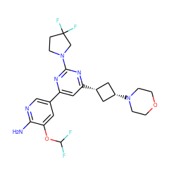 Nc1ncc(-c2cc([C@H]3C[C@@H](N4CCOCC4)C3)nc(N3CCC(F)(F)C3)n2)cc1OC(F)F ZINC000653679387