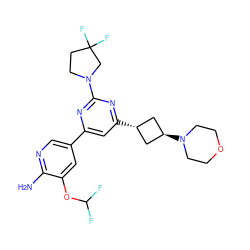 Nc1ncc(-c2cc([C@H]3C[C@H](N4CCOCC4)C3)nc(N3CCC(F)(F)C3)n2)cc1OC(F)F ZINC000653686464