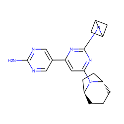 Nc1ncc(-c2cc(N3[C@H]4CCC[C@H]3CC4)nc(N3CC4CC3C4)n2)cn1 ZINC000221190512