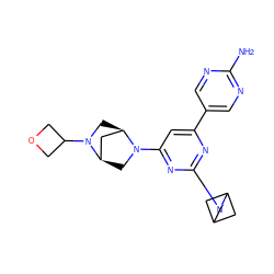 Nc1ncc(-c2cc(N3C[C@@H]4C[C@H]3CN4C3COC3)nc(N3CC4CC3C4)n2)cn1 ZINC000221375865