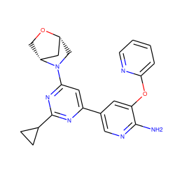 Nc1ncc(-c2cc(N3C[C@@H]4C[C@H]3CO4)nc(C3CC3)n2)cc1Oc1ccccn1 ZINC000653667739