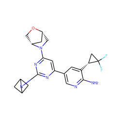 Nc1ncc(-c2cc(N3C[C@@H]4C[C@H]3CO4)nc(N3CC4CC3C4)n2)cc1[C@@H]1CC1(F)F ZINC000653750440