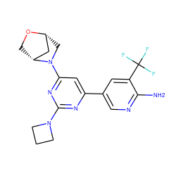 Nc1ncc(-c2cc(N3C[C@@H]4C[C@H]3CO4)nc(N3CCC3)n2)cc1C(F)(F)F ZINC000653680454