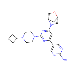 Nc1ncc(-c2cc(N3C[C@@H]4C[C@H]3CO4)nc(N3CCN(C4CCC4)CC3)n2)cn1 ZINC000221157935