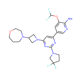 Nc1ncc(-c2cc(N3CC(N4CCCOCC4)C3)nc(N3CCC(F)(F)C3)n2)cc1OC(F)F ZINC000653750420