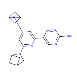 Nc1ncc(-c2cc(N3CC4CC3C4)cc(N3CC4CC3C4)n2)cn1 ZINC000221269648