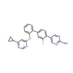 Nc1ncc(-c2ccc(-c3ccccc3Oc3cc(C4CC4)ncn3)cc2F)cn1 ZINC000224812044