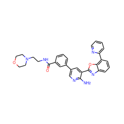 Nc1ncc(-c2cccc(C(=O)NCCN3CCOCC3)c2)cc1-c1nc2cccc(-c3ccccn3)c2o1 ZINC000103250006