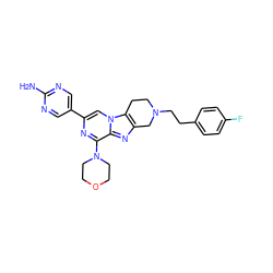 Nc1ncc(-c2cn3c4c(nc3c(N3CCOCC3)n2)CN(CCc2ccc(F)cc2)CC4)cn1 ZINC001772629191