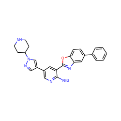 Nc1ncc(-c2cnn(C3CCNCC3)c2)cc1-c1nc2cc(-c3ccccc3)ccc2o1 ZINC000103247690