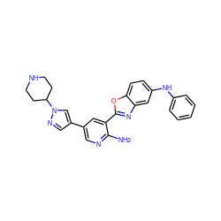 Nc1ncc(-c2cnn(C3CCNCC3)c2)cc1-c1nc2cc(Nc3ccccc3)ccc2o1 ZINC000103247679