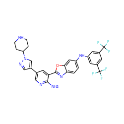 Nc1ncc(-c2cnn(C3CCNCC3)c2)cc1-c1nc2ccc(Nc3cc(C(F)(F)F)cc(C(F)(F)F)c3)cc2o1 ZINC000103247703