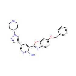 Nc1ncc(-c2cnn(C3CCNCC3)c2)cc1-c1nc2ccc(OCc3ccccc3)cc2o1 ZINC000103248521