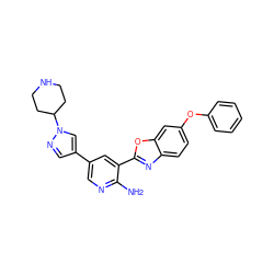 Nc1ncc(-c2cnn(C3CCNCC3)c2)cc1-c1nc2ccc(Oc3ccccc3)cc2o1 ZINC000103248524