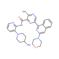 Nc1ncc(-c2nc(N3CCOCC3)cc3ccccc23)nc1C(=O)Nc1ncccc1N1CCC(N)CC1 ZINC001772583215