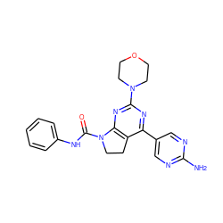 Nc1ncc(-c2nc(N3CCOCC3)nc3c2CCN3C(=O)Nc2ccccc2)cn1 ZINC000118758225