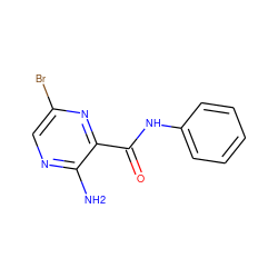 Nc1ncc(Br)nc1C(=O)Nc1ccccc1 ZINC000071329115