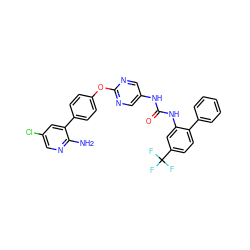 Nc1ncc(Cl)cc1-c1ccc(Oc2ncc(NC(=O)Nc3cc(C(F)(F)F)ccc3-c3ccccc3)cn2)cc1 ZINC000221165506