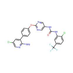 Nc1ncc(Cl)cc1-c1ccc(Oc2ncc(NC(=O)Nc3cc(C(F)(F)F)ccc3Cl)cn2)cc1 ZINC000221114648