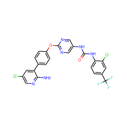 Nc1ncc(Cl)cc1-c1ccc(Oc2ncc(NC(=O)Nc3ccc(C(F)(F)F)cc3Cl)cn2)cc1 ZINC000221140251