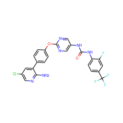 Nc1ncc(Cl)cc1-c1ccc(Oc2ncc(NC(=O)Nc3ccc(C(F)(F)F)cc3F)cn2)cc1 ZINC000221140165