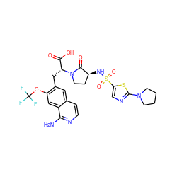 Nc1nccc2cc(C[C@H](C(=O)O)N3CC[C@H](NS(=O)(=O)c4cnc(N5CCCC5)s4)C3=O)c(OC(F)(F)F)cc12 ZINC000142486854