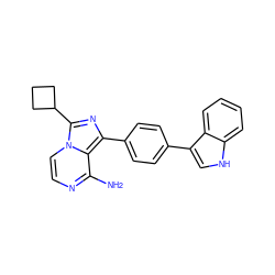 Nc1nccn2c(C3CCC3)nc(-c3ccc(-c4c[nH]c5ccccc45)cc3)c12 ZINC000096168296