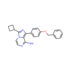 Nc1nccn2c(C3CCC3)nc(-c3ccc(OCc4ccccc4)cc3)c12 ZINC000053014318