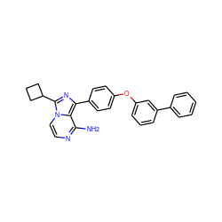 Nc1nccn2c(C3CCC3)nc(-c3ccc(Oc4cccc(-c5ccccc5)c4)cc3)c12 ZINC000096168230