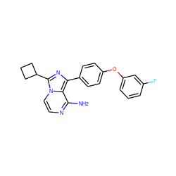 Nc1nccn2c(C3CCC3)nc(-c3ccc(Oc4cccc(F)c4)cc3)c12 ZINC000095582602