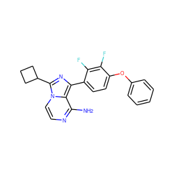 Nc1nccn2c(C3CCC3)nc(-c3ccc(Oc4ccccc4)c(F)c3F)c12 ZINC000096168120