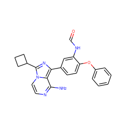 Nc1nccn2c(C3CCC3)nc(-c3ccc(Oc4ccccc4)c(NC=O)c3)c12 ZINC000096168122