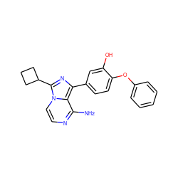 Nc1nccn2c(C3CCC3)nc(-c3ccc(Oc4ccccc4)c(O)c3)c12 ZINC000096168129