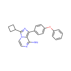 Nc1nccn2c(C3CCC3)nc(-c3ccc(Oc4ccccc4)cc3)c12 ZINC000028885073