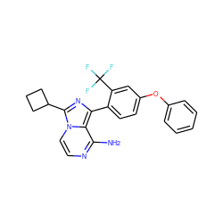 Nc1nccn2c(C3CCC3)nc(-c3ccc(Oc4ccccc4)cc3C(F)(F)F)c12 ZINC000096168065