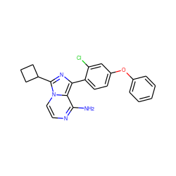 Nc1nccn2c(C3CCC3)nc(-c3ccc(Oc4ccccc4)cc3Cl)c12 ZINC000095585846