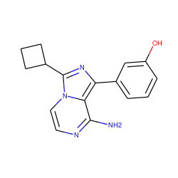 Nc1nccn2c(C3CCC3)nc(-c3cccc(O)c3)c12 ZINC000028885061