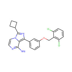 Nc1nccn2c(C3CCC3)nc(-c3cccc(OCc4c(Cl)cccc4Cl)c3)c12 ZINC000028885496