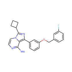 Nc1nccn2c(C3CCC3)nc(-c3cccc(OCc4cccc(F)c4)c3)c12 ZINC000028885260