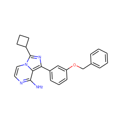 Nc1nccn2c(C3CCC3)nc(-c3cccc(OCc4ccccc4)c3)c12 ZINC000028885038