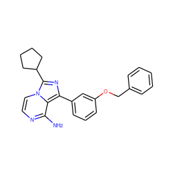 Nc1nccn2c(C3CCCC3)nc(-c3cccc(OCc4ccccc4)c3)c12 ZINC000053006831