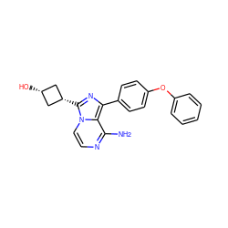 Nc1nccn2c1c(-c1ccc(Oc3ccccc3)cc1)nc2[C@H]1C[C@@H](O)C1 ZINC000261166384