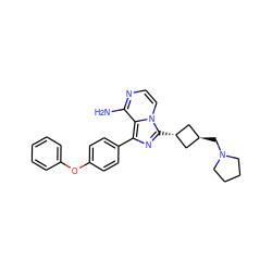 Nc1nccn2c1c(-c1ccc(Oc3ccccc3)cc1)nc2[C@H]1C[C@H](CN2CCCC2)C1 ZINC000100619019