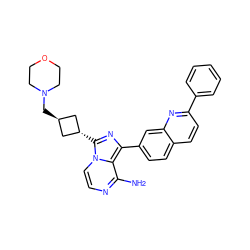 Nc1nccn2c1c(-c1ccc3ccc(-c4ccccc4)nc3c1)nc2[C@H]1C[C@H](CN2CCOCC2)C1 ZINC000101147340