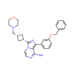 Nc1nccn2c1c(-c1cccc(OCc3ccccc3)c1)nc2[C@H]1C[C@@H](CN2CCOCC2)C1 ZINC000253668072