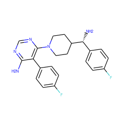 Nc1ncnc(N2CCC([C@H](N)c3ccc(F)cc3)CC2)c1-c1ccc(F)cc1 ZINC000218696520